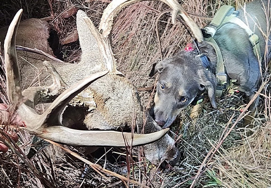 Wounded Game Recovery